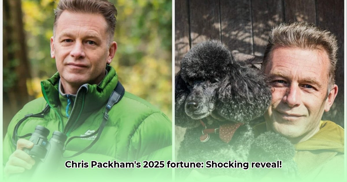 chris-packham-net-worth